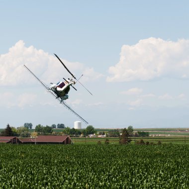 Helicopter Spraying Crops With Pesticide clipart