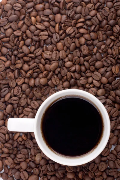 Beyaz kahve fincanı kahve çekirdekleri üzerine — Stok fotoğraf