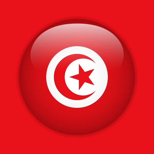 Bandera de Turquía botón brillante — Vector de stock
