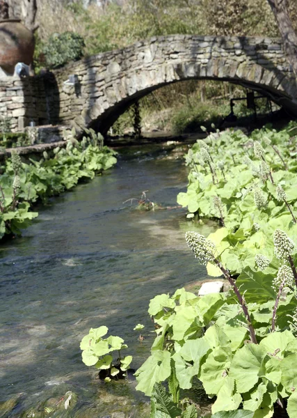 stock image Rock bridge