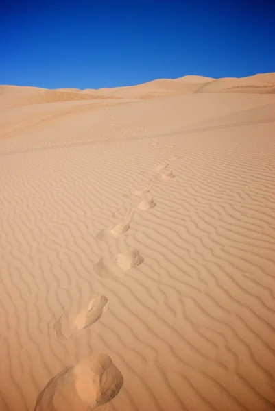 stock image Footsteps Across Sand Dunes