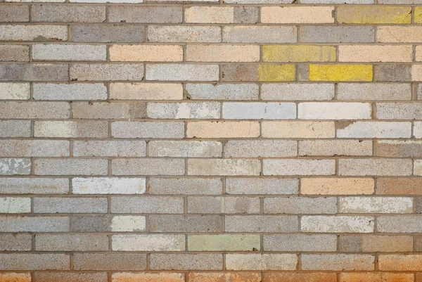 Painted Brick Wall — Stock Photo, Image