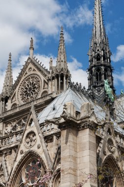 Notre dame de Paris