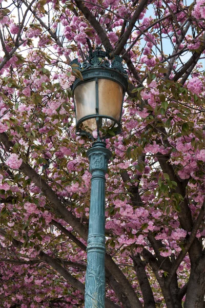 stock image Lantern