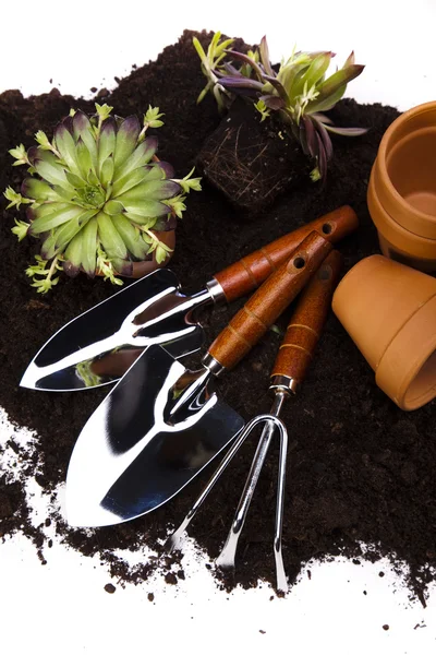 Concept d'outils de jardin — Photo
