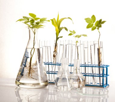 Plant laboratory clipart