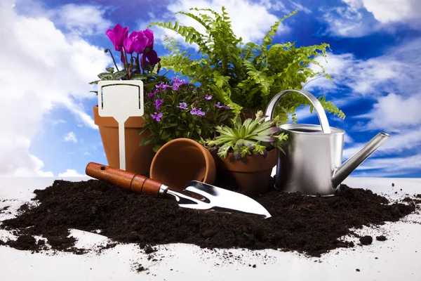 Garden tools concept — Stock Photo, Image