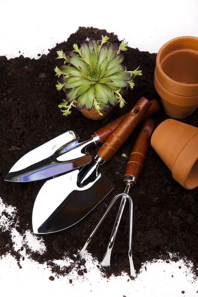 stock image Garden tools concept