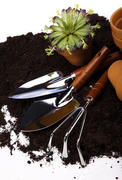 Koncepcja narzędzi ogrodowych — Zdjęcie stockowe