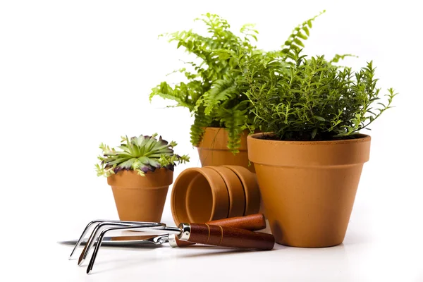 Gardening tool — Stock Photo, Image