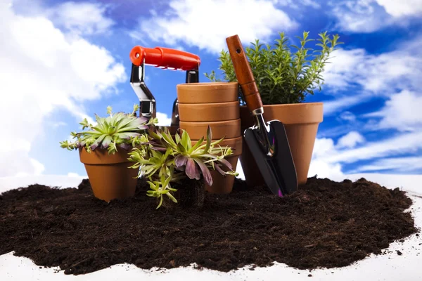 Gardening tool — Stock Photo, Image