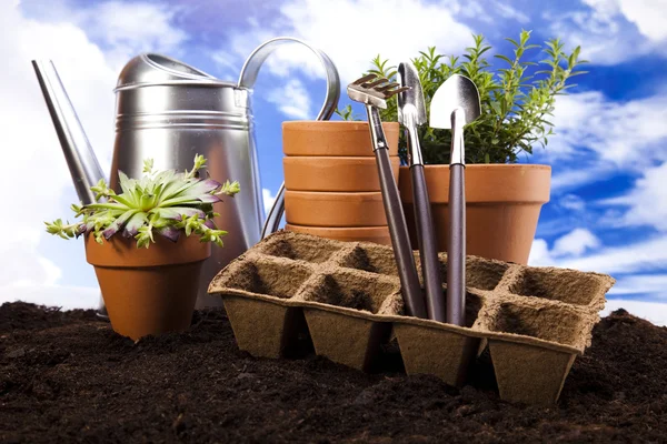 Tuinieren apparatuur met plant — Stockfoto