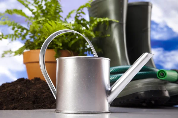 Watering Can And Garden — Stock Photo, Image