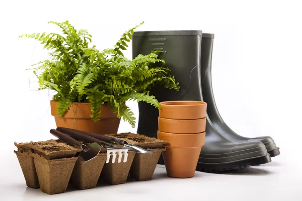 Tuin laarzen met gereedschap, plant — Stockfoto