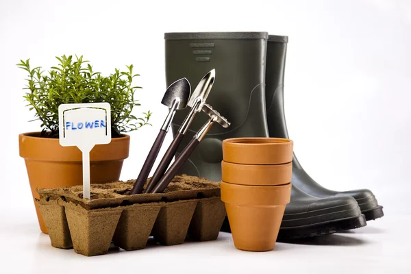 Botas de jardín con herramienta, planta — Foto de Stock