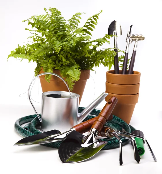 Assorted gardening — Stock Photo, Image