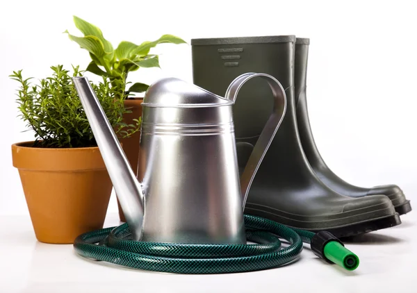 Garden boots with tool, plant — Stock Photo, Image