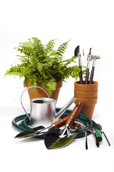 Bloem en tuin tools op witte achtergrond — Stockfoto