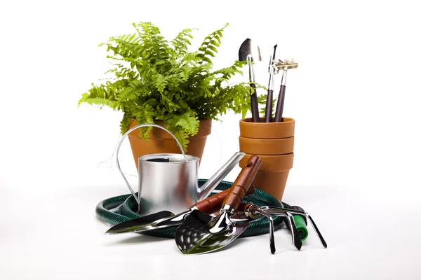 Flower and garden tools on white background — Stock Photo, Image