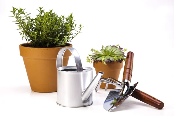 Koncepció, munkaeszközök, növényi Kertészet — Stock Fotó