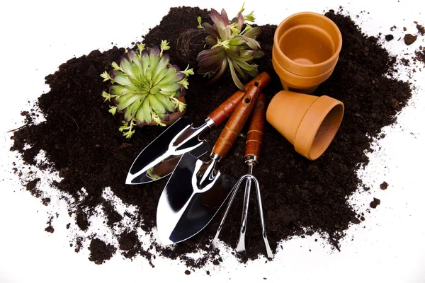 Conceito de jardinagem, ferramentas de trabalho, planta — Fotografia de Stock