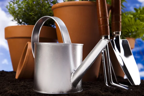 Watering Can And Garden — Stock Photo, Image