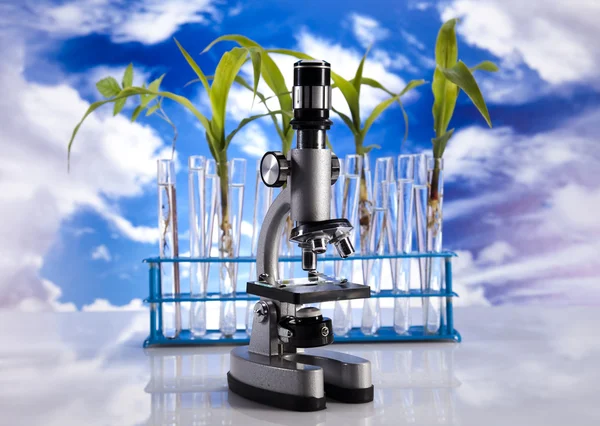 Biotechnologie — Stockfoto