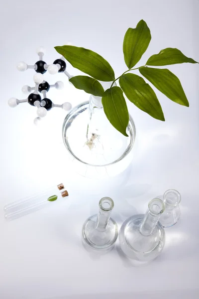 Biotecnologia — Fotografia de Stock