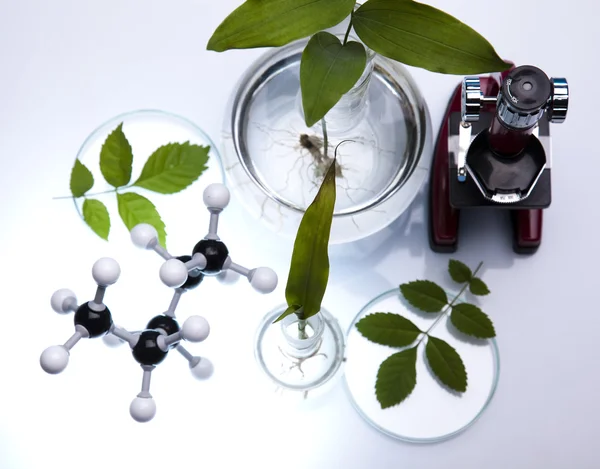 Chemické laboratorní sklo zařízení, ekologie — Stock fotografie