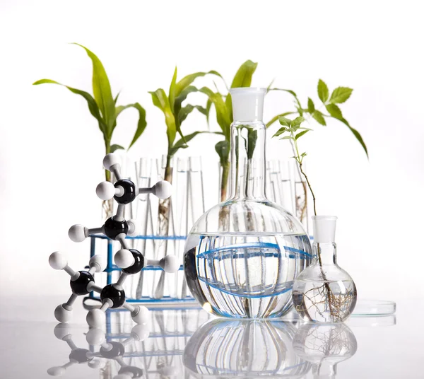 stock image Plant laboratory