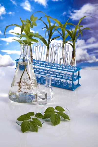 Laboratory on blue sky background — Stock Photo, Image