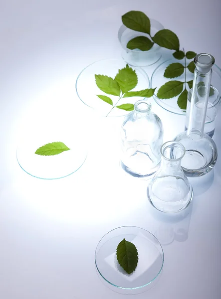 Equipamento de vidro de laboratório químico, ecologia — Fotografia de Stock