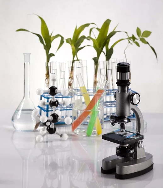Chemical laboratory glassware equipment, ecology — Stock Photo, Image