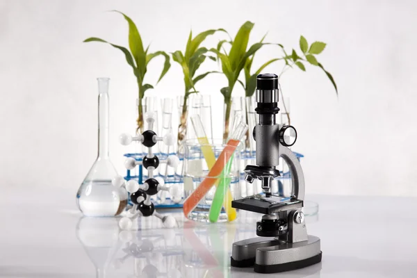 Attrezzatura chimica per vetreria da laboratorio, ecologia — Foto Stock