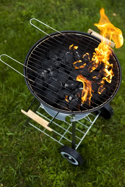 火，热烧烤 — 图库照片