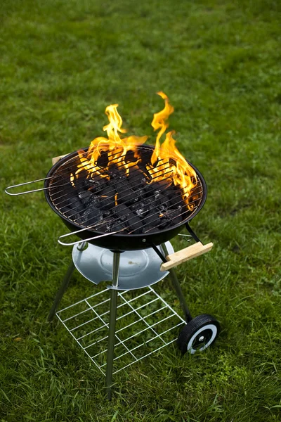 Fire, Hot grilling — Stock Photo, Image