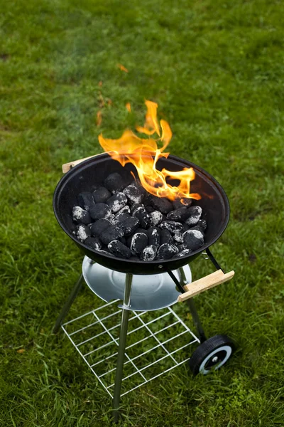 Oheň, horké grilování — Stock fotografie