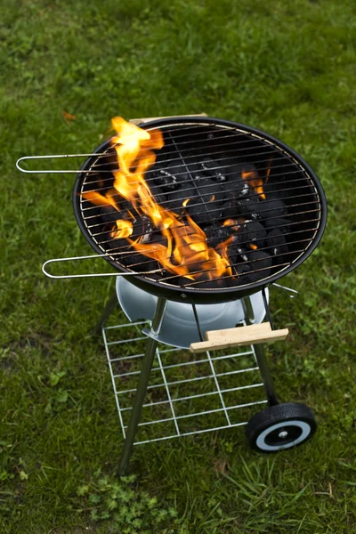Oheň, horké grilování — Stock fotografie