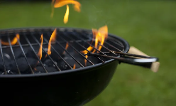stock image Fire, Hot grilling