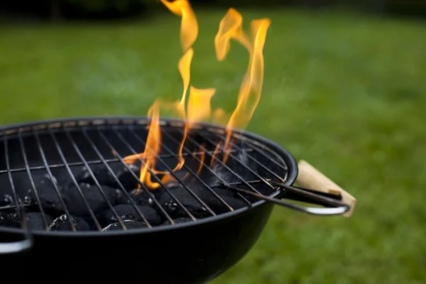 stock image Fire, Hot grilling