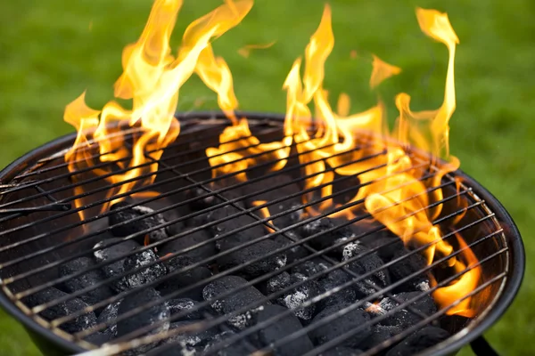 stock image Fire, Hot grilling