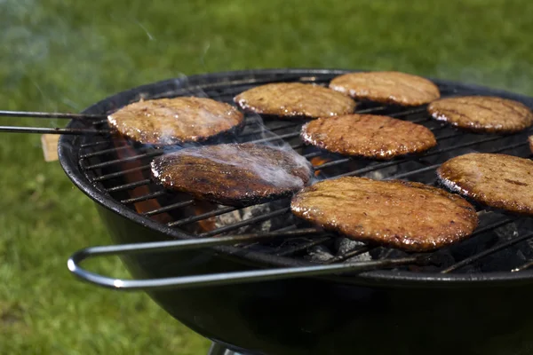 Steak, grilování na letní pobyty — Stock fotografie