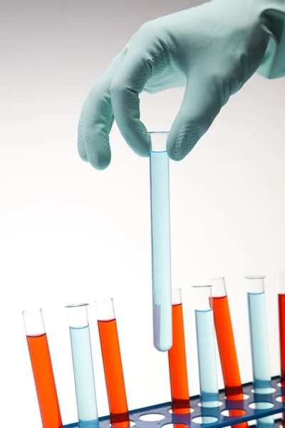 Scienziato che lavora in laboratorio, vetro contenente colore liquido — Foto Stock