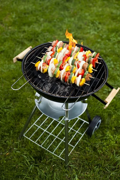 Skewers, Grill background — Stock Photo, Image
