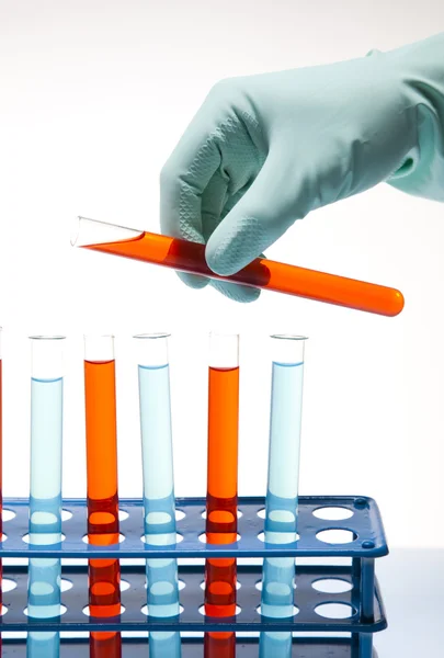 Científico trabajando en un laboratorio, vidrio que contiene color líquido —  Fotos de Stock