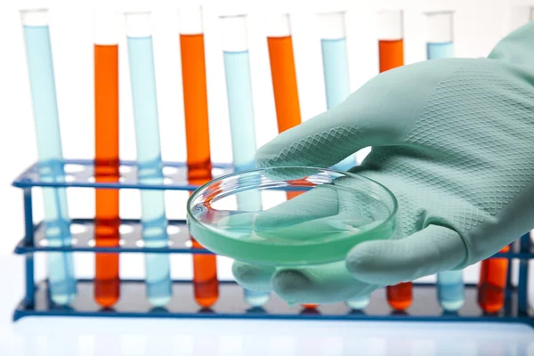 Vidros de laboratório contendo líquido colorido — Fotografia de Stock