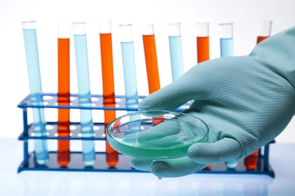 Scientifique travaillant en laboratoire, verre contenant de la couleur liquide — Photo