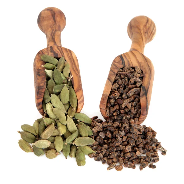 Породы и семена кардамона — стоковое фото
