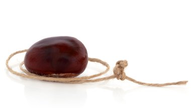Conker and String clipart