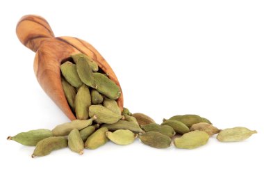 Cardamom Pods clipart